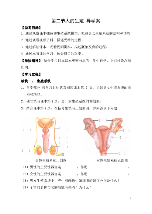 人的生殖导学案