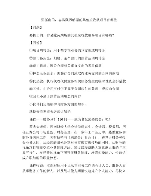 要抓出的,容易藏污纳垢的其他应收款项目有哪些