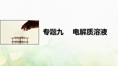 2021年高考化学一轮复习专题09电解质溶液课件