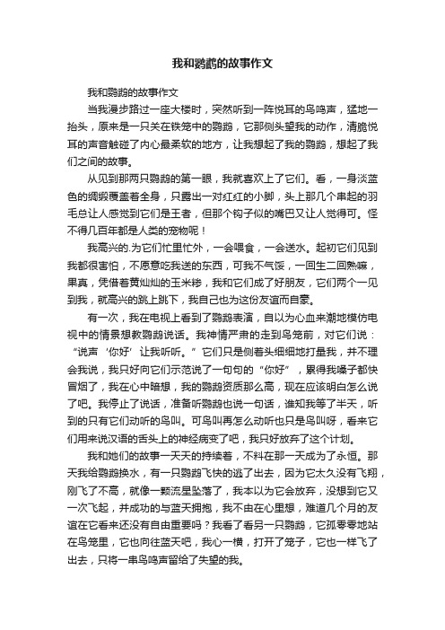 我和鹦鹉的故事作文