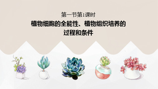 课件 _植物细胞的全能性、植物组织培养的过程和条件