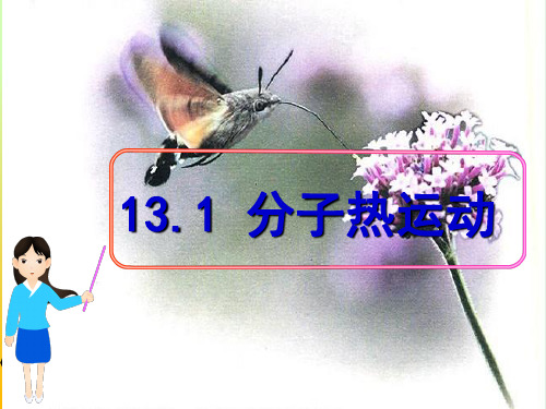 新人教版九年级物理全一册 13.1分子热运动课件(共17张PPT)