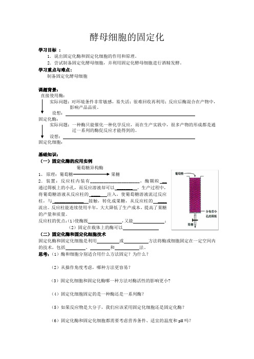 《课题3 酵母细胞的固定化》教学设计(江苏省县级优课)