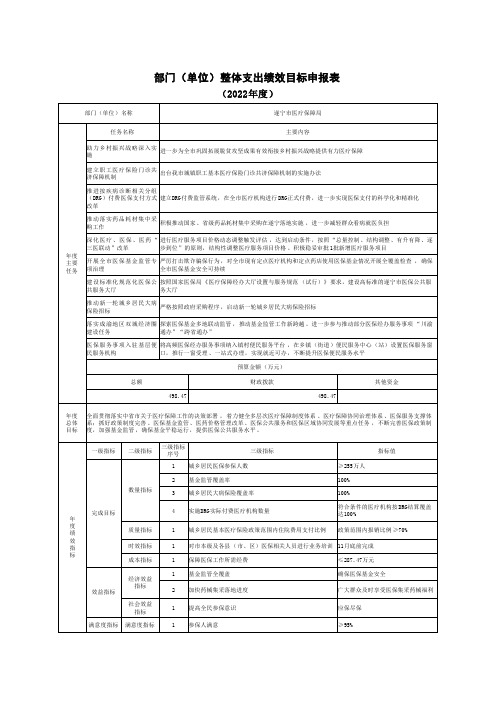 部门(单位)整体支出绩效目标申报表