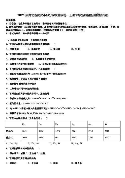 2025届湖北省武汉市部分学校化学高一上期末学业质量监测模拟试题含解析