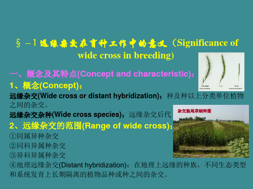 十一章 远缘杂交育种