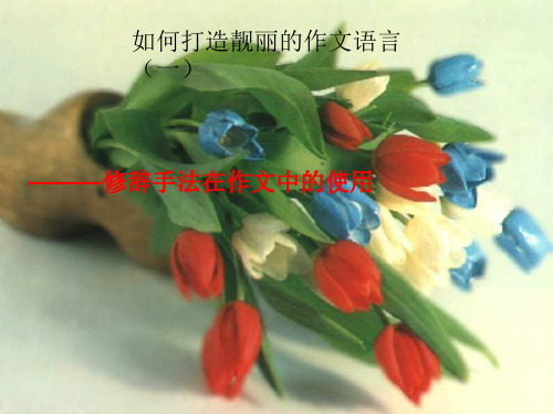 第二期第八次如何打造靓丽的语言---修辞在文章的作用: