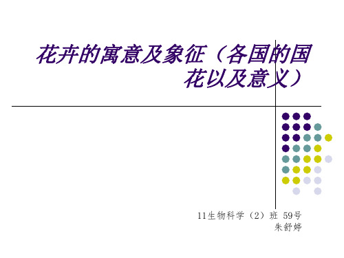 花卉的寓意及象征(各国的