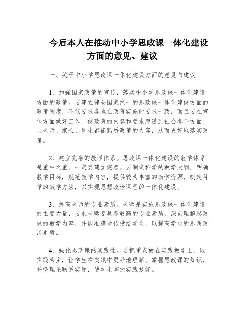 今后本人在推动中小学思政课一体化建设方面的意见、建议