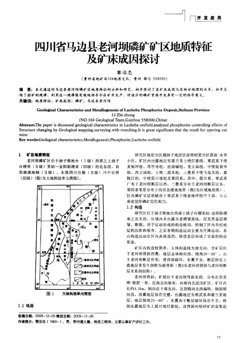 四川省马边县老河坝磷矿矿区地质特征及矿床成因探讨