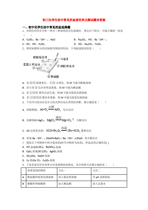 初三化学生活中常见的盐培优单元测试题含答案