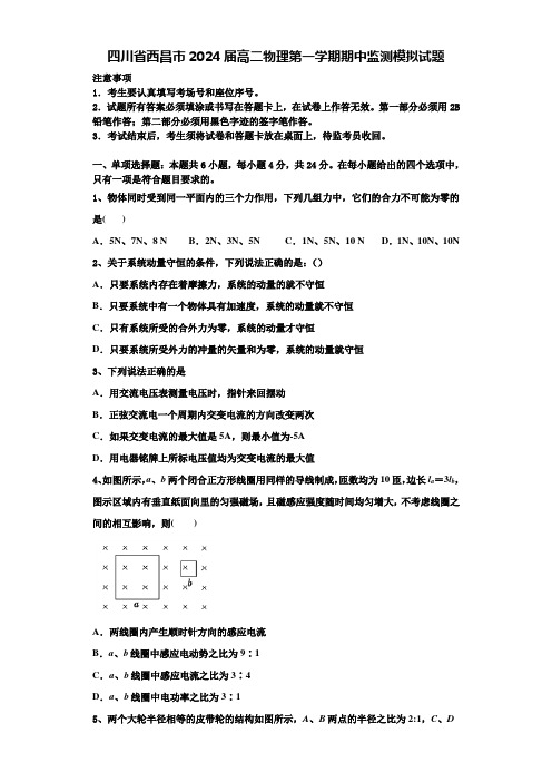 四川省西昌市2024届高二物理第一学期期中监测模拟试题含解析