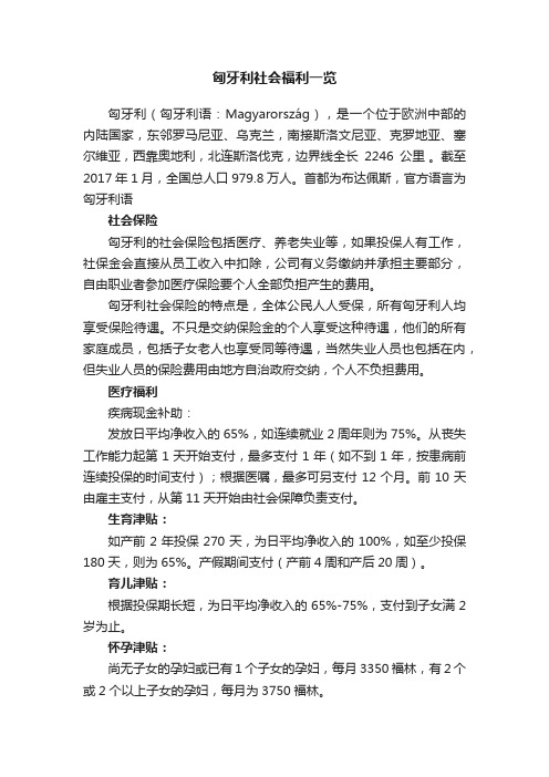 匈牙利社会福利一览