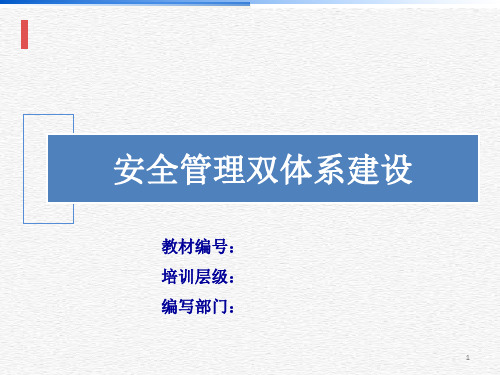 安全管理双体系建设PPT精选文档