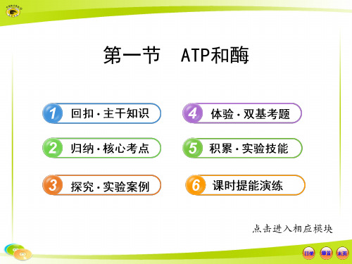 2013版高中生物全程复习方略配套课件(苏教版)：1.4.1ATP和酶