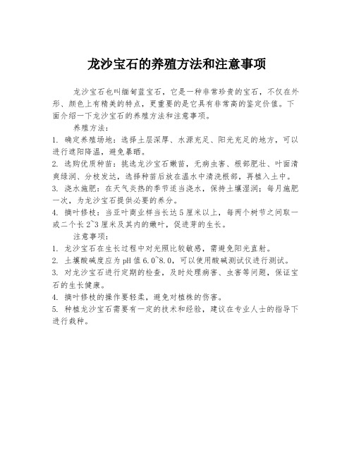 龙沙宝石的养殖方法和注意事项