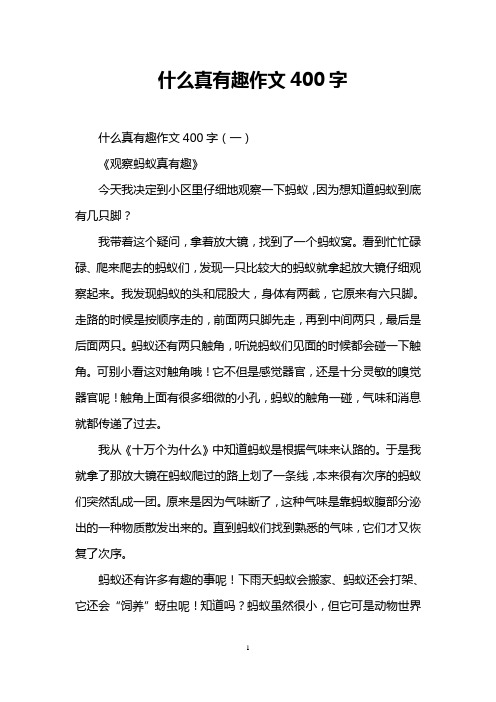 什么真有趣作文400字