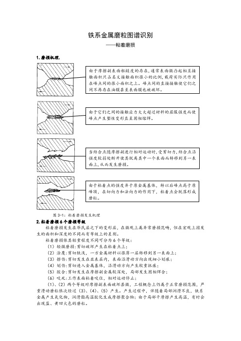 铁系金属磨粒图谱识别 3.粘着磨损