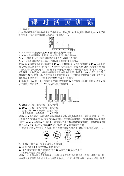 人教版生物高二(上)：第五章第一节(二)课时活页训练