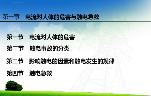 第二章触电事故及现场急救ppt课件