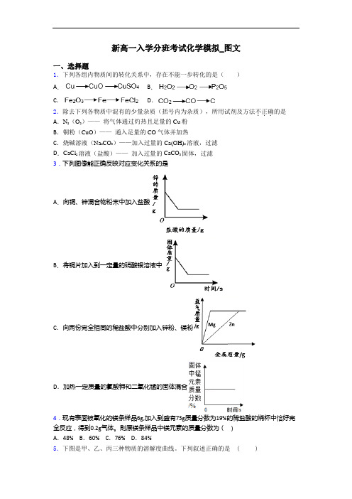 新高一入学分班考试化学模拟_图文