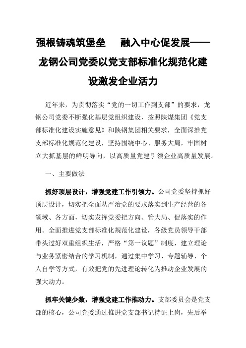 强根铸魂筑堡垒融入中心促发展——龙钢公司党委以党支部标准化规范化建设激发企业活力