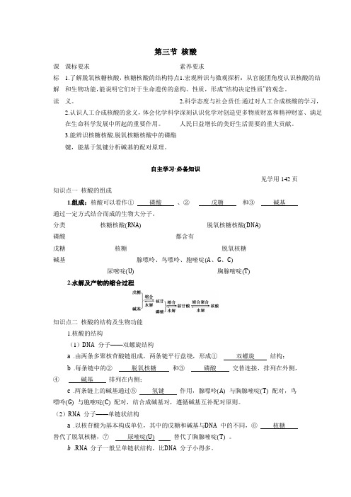 22人教版高中化学新教材选择性必修3--第三节 核酸