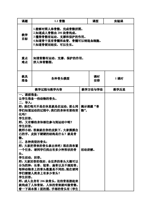 《骨骼》教案