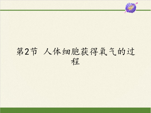 七年级生物下册课件-4.10.2 人体细胞获得氧气的过程2-北师大版