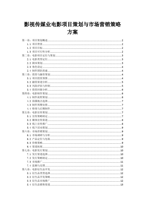 影视传媒业电影项目策划与市场营销策略方案