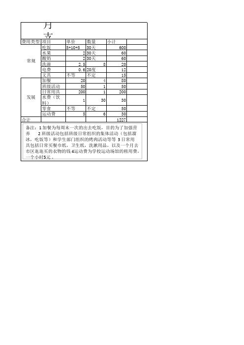 支出计划表