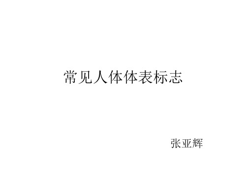 常见人体体表标志