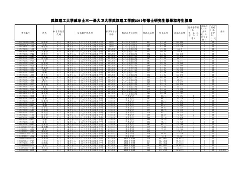 武汉理工大学威尔士三一圣大卫大学武汉理工学院2019年硕士研究生招生考试拟录取名单(第二批)