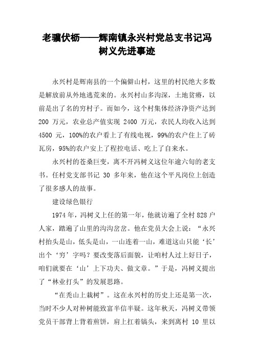 老骥伏枥——xx镇xx村党总支书记冯树义先进事迹