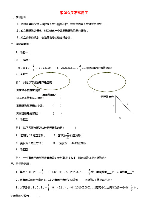 八年级数学上册《2.1 数怎么又不够用了》（第二课时）学案