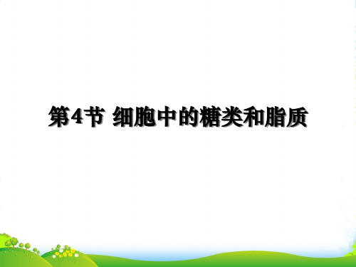 人教版高中生物必修一：2.4《细胞中的糖类和脂类》课件