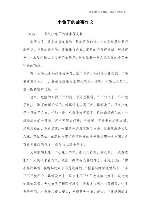 小兔子的故事作文