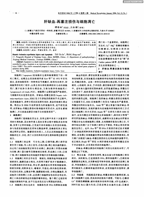 肝缺血-再灌注损伤与细胞凋亡