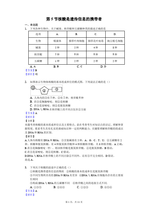 第5节 核酸是遗传信息的携带者(解析版)