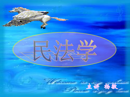 民事法律行为6.ppt