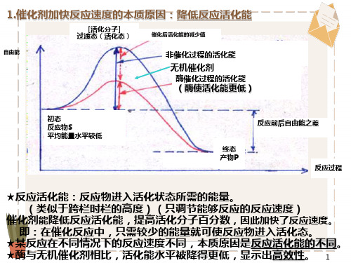 影响酶活力的因素的曲线分析