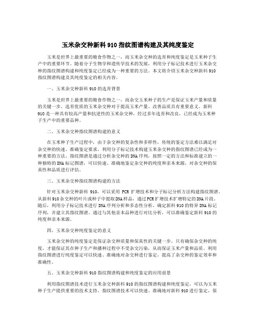 玉米杂交种新科910指纹图谱构建及其纯度鉴定