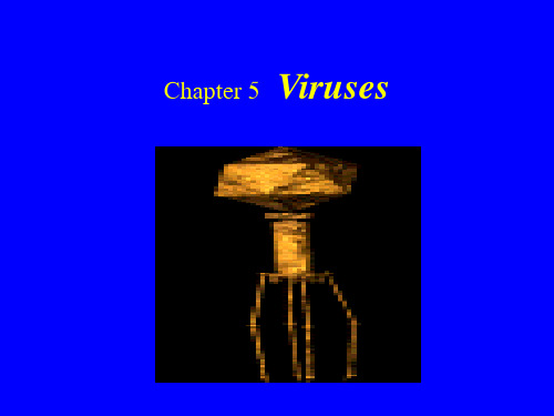 Chapter 5  Viruses  微生物学 教学课件 英文版