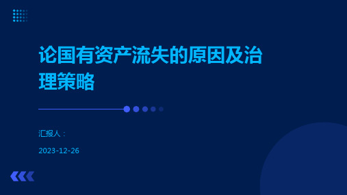 论国有资产流失的原因及治理策略