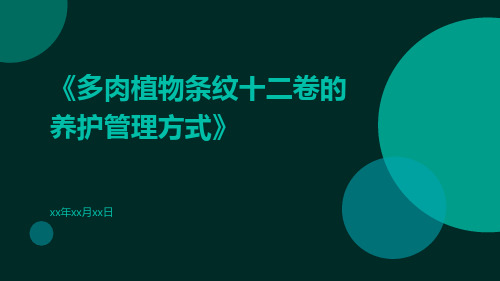 多肉植物条纹十二卷的养护管理方式