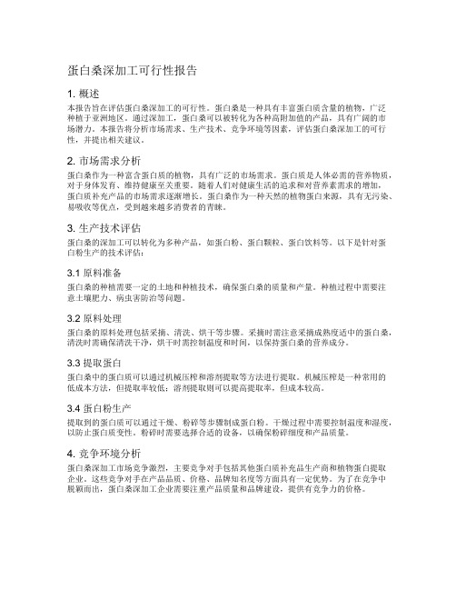 蛋白桑深加工可行性报告