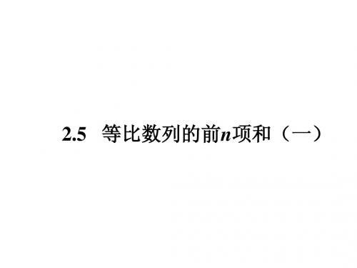 2.5等比数列的前n项和