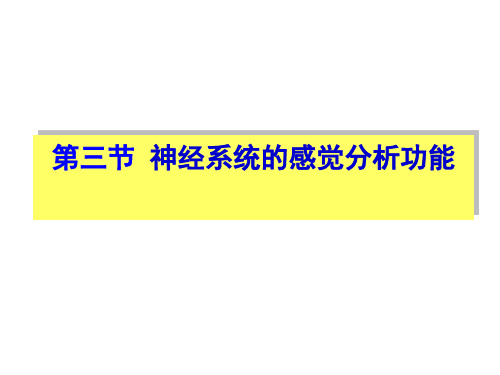 《神经系统的感觉分析功能》