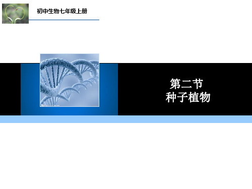 (人教版)秋七年级上学期生物教学课件：第三单元 第一章 第二节 种子植物 (共34张PPT)