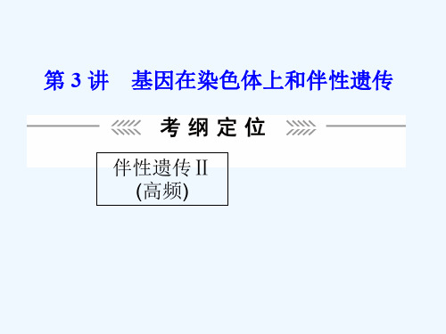 第1单元第3讲基因在染色体上和伴性遗传课件新人教版必修2课件